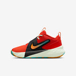 ZAPATILLAS NIKE TEAM HUSTLED D 12 (GS)