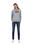 POLERA LEVIS GRAPHIC STANDARD HOODIE