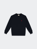POLERA DUNKELVOLK PSIMPLE CREW FR