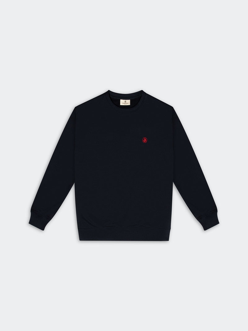 POLERA DUNKELVOLK PSIMPLE CREW FR