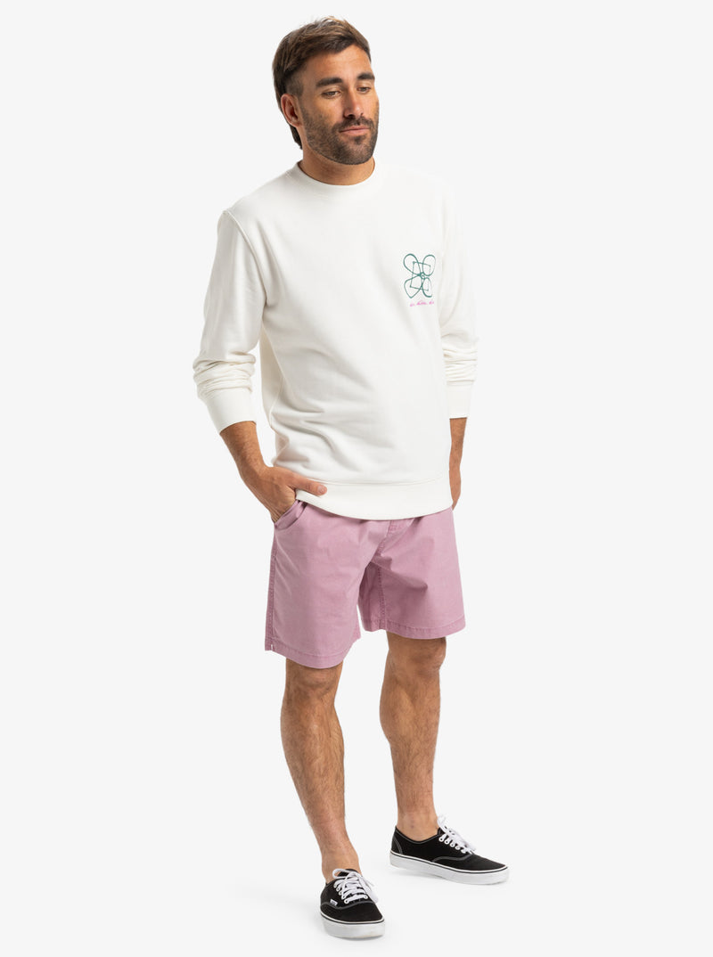 POLERA QUIKSILVER GRAPHIC MIX CREW