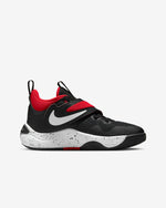 ZAPATILLAS NIKE TEAM HUSTLE D 11 (GS)