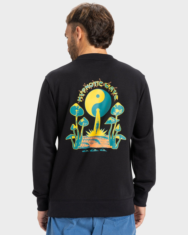 POLERA QUIKSILVER GRAPHIC MIX CREW