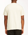 POLO BILLABONG SS21 - ESSENTIAL POCK