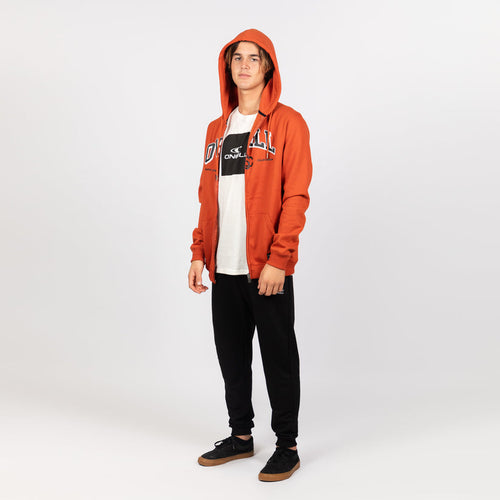 POLERA ONEILL SURF STATE HOODY